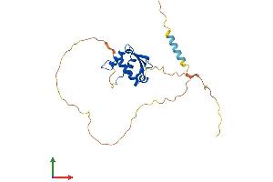 Protein Structure (PS) image for Spi-C Transcription Factor (Spi-1/PU.1 Related) (SPIC) (AA 1-242) protein (His tag) (ABIN7557989)