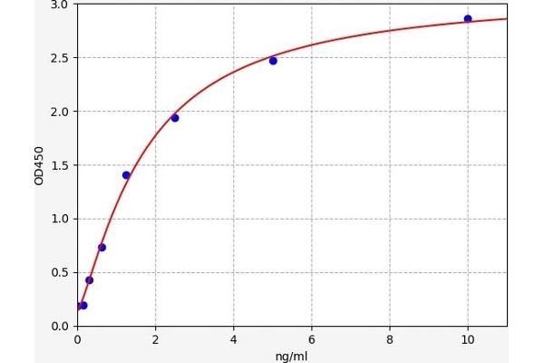 IFITM2 ELISA 试剂盒