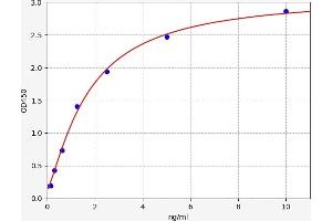 Typical standard curve (IFITM2 ELISA 试剂盒)