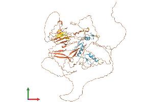 AlphaFold protein structure predicition of Mouse Recombinant Sp4 Protein, UniprotID Q62445 (SP4 Protein (AA 1-782) (His tag))