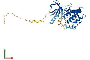 Protein Structure (PS) image for NIMA (Never in Mitosis Gene A)-Related Kinase 6 (NEK6) (AA 1-313) protein (His tag) (ABIN7561457)