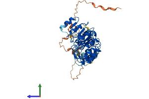 Protein Structure (PS) image for S-Phase Kinase-Associated Protein 2 (SKP2) (AA 1-424) protein (His tag) (ABIN7556363)