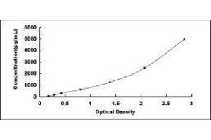 ELISA image for serine Peptidase Inhibitor, Kazal Type 5 (SPINK5) ELISA Kit (ABIN430069)