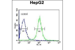 Flow cytometric analysis of HepG2 cells (right histogram) compared to a negative control cell (left histogram). (TMPRSS2 抗体  (AA 314-343))