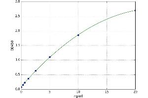 A typical standard curve