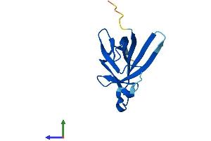 Protein Structure (PS) image for T-Cell Leukemia/lymphoma 1A (TCL1A) (AA 1-116) protein (His tag) (ABIN7556468)