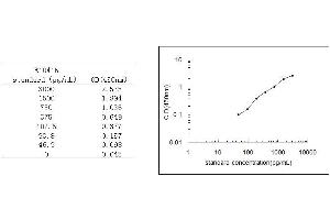 ELISA image for Vitronectin (VTN) ELISA Kit (ABIN456820)