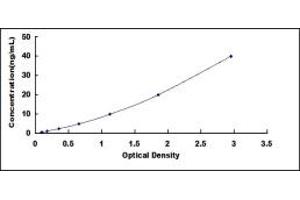 Typical standard curve (N6AMT1 ELISA 试剂盒)