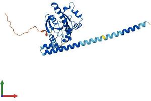 Protein Structure (PS) image for GTPase, IMAP Family Member 5 (GIMAP5) (AA 1-308) protein (His tag) (ABIN7558960)