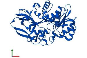 Protein Structure (PS) image for Prostaglandin Reductase 2 (PTGR2) (AA 1-351) protein (His tag) (ABIN7559865)