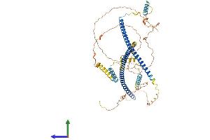AlphaFold protein structure predicition of Mouse Recombinant Hap1 Protein, UniprotID O35668