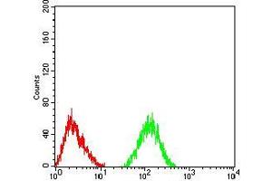 Flow cytometric analysis of SK-N-SH cells using CHRNA6 mouse mAb (green) and negative control (red). (CHRNA6 抗体  (AA 26-239))