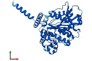 AlphaFold protein structure predicition of Human Recombinant AADAC Protein, UniprotID P22760 (AADAC Protein (AA 1-399) (His tag))