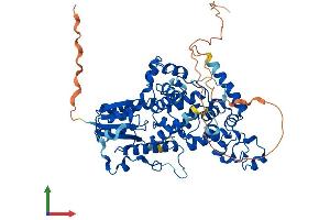 Protein Structure (PS) image for Cryptochrome 2 (Photolyase-Like) (CRY2) (AA 1-593) protein (His tag) (ABIN7553589)