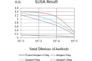 Black line: Control Antigen (100 ng),Purple line: Antigen (10 ng), Blue line: Antigen (50 ng), Red line:Antigen (100 ng) (CD7 抗体  (AA 26-180))