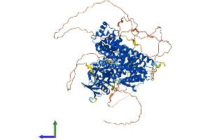 Protein Structure (PS) image for FERM, RhoGEF and Pleckstrin Domain Protein 2 (FARP2) (AA 1-1065) protein (His tag) (ABIN7564787)
