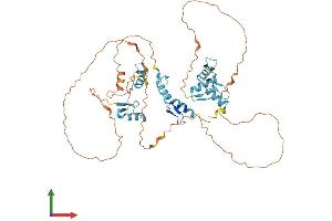 AlphaFold protein structure predicition of Human Recombinant ZNF296 Protein, UniprotID Q8WUU4 (Zinc Finger Protein 296 (ZNF296) (AA 1-475) protein (His tag))
