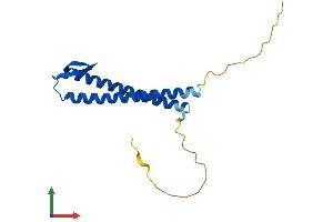 AlphaFold protein structure predicition of Human Recombinant PFDN2 Protein, UniprotID Q9UHV9
