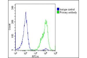 Overlay histogram showing U-2 OS cells stained with (ABIN651298 and ABIN2840176)(green line). (Adiponectin Receptor 2 抗体  (AA 45-72))