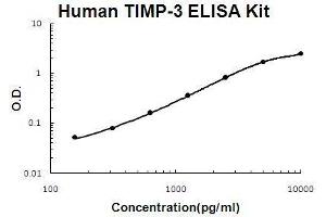 Human TIMP-3 PicoKine ELISA Kit standard curve (TIMP3 ELISA 试剂盒)