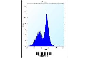 Flow Cytometry (FACS) image for anti-phosphorylase Kinase, gamma 1 (Muscle) (PHKG1) (AA 302-331), (C-Term) antibody (ABIN5537752)
