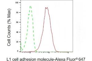 Flow cytometric analysis of L1 cell adhesion molecule expression in HepG2 cells using L1 cell adhesion molecule antibody (ABIN7799217), 1:2,000). (L1CAM 抗体)