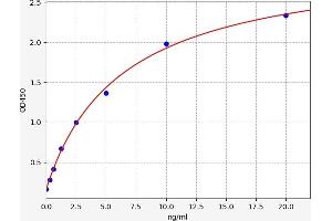 Typical standard curve (CAMK2B ELISA 试剂盒)