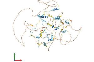 Protein Structure (PS) image for Calpastatin (CAST) (AA 1-788) protein (His tag) (ABIN7563373)