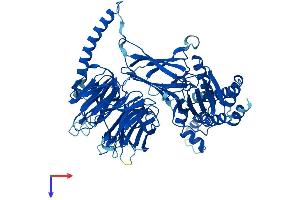 BBS7 Protein (AA 1-715) (His tag)