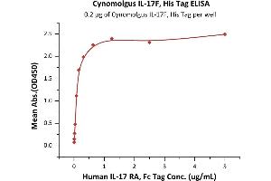 Immobilized Cynomolgus IL-17F, His Tag (ABIN6973113) at 2 μg/mL (100 μL/well) can bind Human IL-17 RA, Fc Tag (ABIN2181346,ABIN2181345) with a linear range of 0.