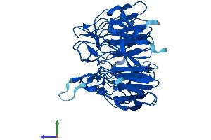Protein Structure (PS) image for Kelch Domain Containing 8A (KLHDC8A) (AA 1-350) protein (His tag) (ABIN7560081)