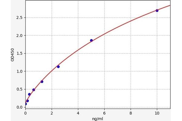 CDK5R1 ELISA 试剂盒