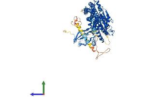 AlphaFold protein structure predicition of Human Recombinant IKBKB Protein, UniprotID O14920