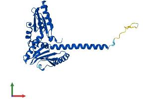 Protein Structure (PS) image for Actin Related Protein 2/3 Complex, Subunit 2, 34kDa (ARPC2) (AA 1-300) protein (His tag) (ABIN7560650)
