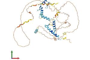 Protein Structure (PS) image for Nuclear Fragile X Mental Retardation Protein Interacting Protein 1 (NUFIP1) (AA 1-484) protein (His tag) (ABIN7561767)