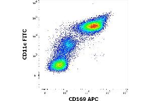 Flow cytometry multicolor surface staining of human TNF-α and INF-γ stimulated peripheral blood mononuclear cells stained using anti-human CD169 (7-239) APC antibody (10 μL reagent per milion cells in 100 μL of cell suspension) and anti-human CD11c (BU15) FITC antibody (20 μL reagent / 100 μL of peripheral whole blood). (Sialoadhesin/CD169 抗体  (APC))