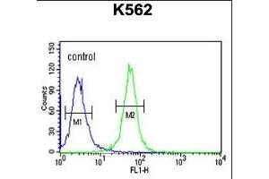 SPDYA Antibody (Center) (ABIN6244012 and ABIN6579062) flow cytometric analysis of K562 cells (right histogram) compared to a negative control cell (left histogram). (SPDYA 抗体  (AA 147-175))