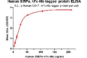 ELISA plate pre-coated by 2 μg/mL (100 μL/well) Human CD47, mFc-His tagged protein ABIN6961081, ABIN7042191 and ABIN7042192 can bind its native ligand Human SIRPα, hFc-His tagged protein (ABIN6961082, ABIN7042193 and ABIN7042194) in a linear range of 3.