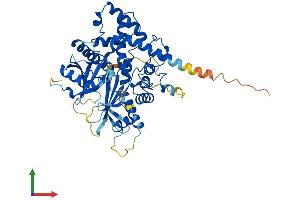 AlphaFold protein structure predicition of Mouse Recombinant Ippk Protein, UniprotID Q6P1C1