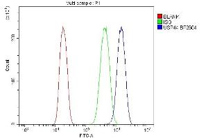 Flow Cytometry analysis of A431 cells using anti-USP44 antibody (ABIN7600640). (USP44 抗体  (AA 211-712))