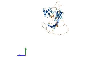 AlphaFold protein structure predicition of Human Recombinant DIXDC1 Protein, UniprotID Q155Q3 (DIXDC1 Protein (AA 1-683) (His tag))