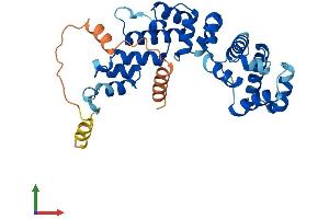 AlphaFold protein structure predicition of Human Recombinant FBXO8 Protein, UniprotID Q9NRD0