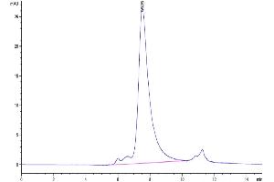 Size-exclusion chromatography-High Pressure Liquid Chromatography (SEC-HPLC) image for Natural Cytotoxicity Triggering Receptor 1 (NCR1) (AA 22-254) protein (His tag) (ABIN7275348)