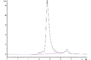 The purity of Human NKp46 is greater than 95 % as determined by SEC-HPLC. (NCR1 Protein (AA 22-254) (His tag))