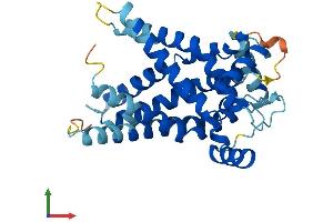 Protein Structure (PS) image for Solute Carrier Family 25 (Mitochondrial Carrier, Peroxisomal Membrane Protein, 34kDa), Member 17 (SLC25A17) (AA 1-307) protein (His tag) (ABIN7562578)