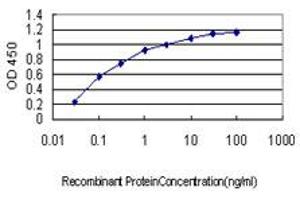 Detection limit for recombinant GST tagged GPR84 is approximately 0. (GPR84 抗体  (AA 208-316))