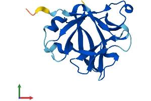 AlphaFold protein structure predicition of Human Recombinant IL1F10 Protein, UniprotID Q8WWZ1