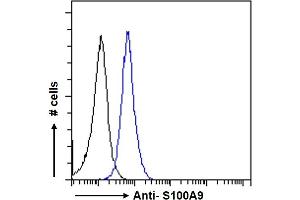 ABIN335161 Flow cytometric analysis of paraformaldehyde fixed MCF7 cells (blue line), permeabilized with 0. (S100A9 抗体  (Internal Region))