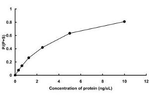 Image no. 1 for Sphingosine Kinase 2 (SPHK2) (Active) protein (GST tag) (ABIN5570195)