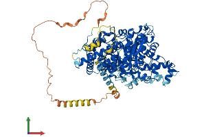 Protein Structure (PS) image for Adenosine Monophosphate Deaminase 3 (AMPD3) (AA 1-767) protein (His tag) (ABIN7552145)